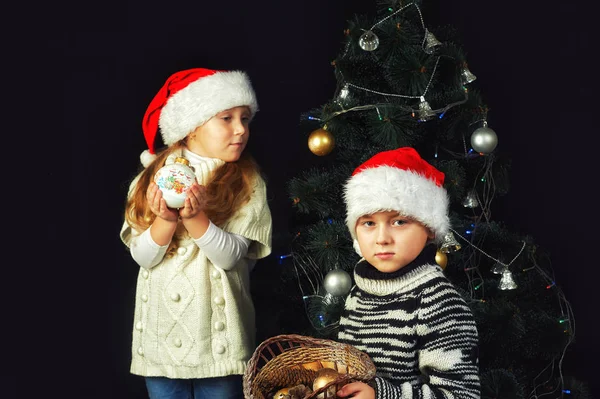 Веселі Діти Напередодні Різдва Прикрашають Ялинку Діти Одягнені Теплі Светри — стокове фото
