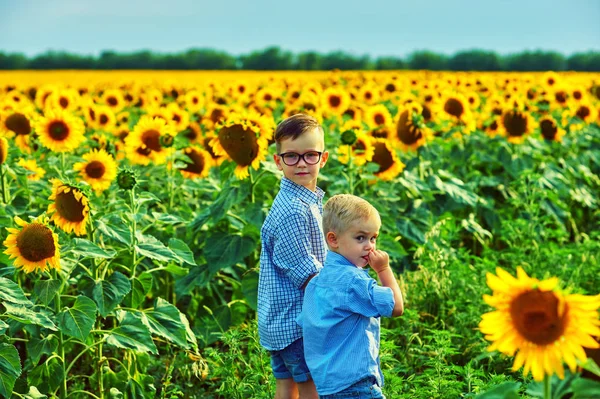Two Children Walk Field Sunflowers Brothers Summer Field — Stock Photo, Image