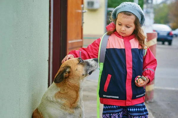 Bir kız ve bir sokak köpeği. Küçük bir çocuk bir sokak köpeği okşuyor