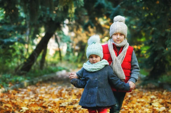 Niños Paseo Otoñal Hermano Hermana Parque Día Otoñal — Foto de Stock