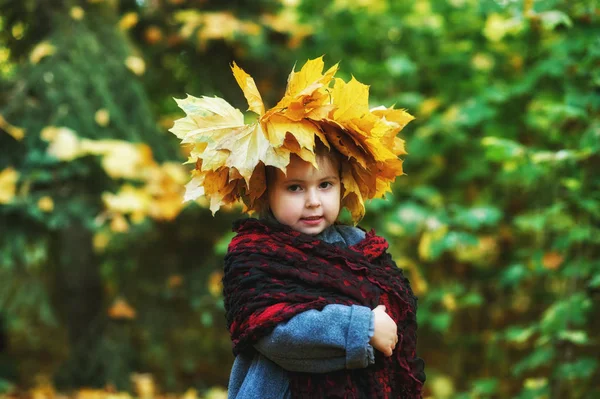 小さな女の子の秋の肖像画 子供が彼の頭にカエデの葉の花輪を着ています — ストック写真