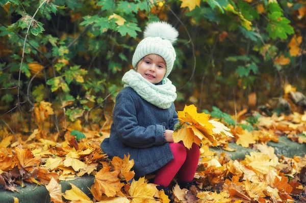 Ritratto Autunnale Una Bambina Che Passeggia Nel Parco Bambino Cappello — Foto Stock