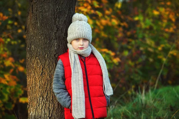 Portret Chłopca Ciepła Czapka Szalik Dzieckiem Spacerze Lesie Jesienią — Zdjęcie stockowe