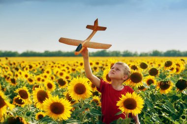 Çocuk bir yürüyüş alanında ayçiçeği ile uçakta çalış 