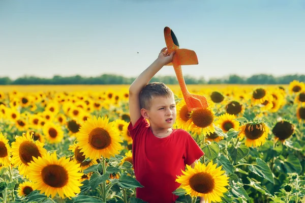 Çocuk bir yürüyüş alanında ayçiçeği ile uçakta çalış 