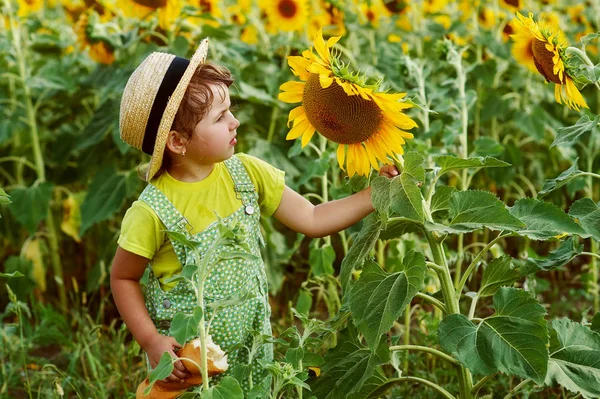 Little Girl Straw Hat Walk Field Sunflowers — Stock Photo, Image
