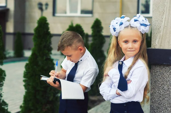 Alunos Ensino Primário Perto Escola Crianças Fazem Trabalhos Casa Rua — Fotografia de Stock