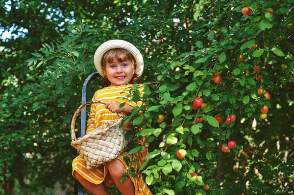 Fröhliches Kleines Mädchen Garten Erntet Früchte Korb — Stockfoto