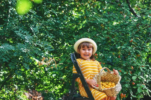 Neşeli Küçük Kız Bahçede Bir Sepet Meyve Hasat — Stok fotoğraf