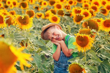 Çocuk bir yürüyüş alanında ayçiçeği ile