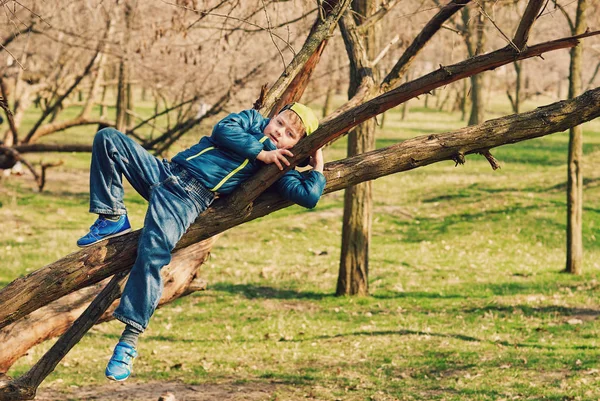 Boy Sits Tree Spring Walk Child Play — Stock Photo, Image