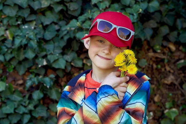 Retrato Rapaz Criança Está Segurando Flores Dente Leão — Fotografia de Stock