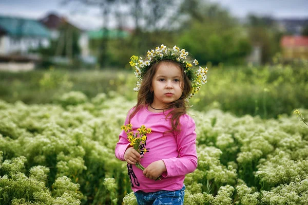 Ritratto Una Bella Bambina Una Ghirlanda Fiori Selvatici Bambini Passeggiata — Foto Stock