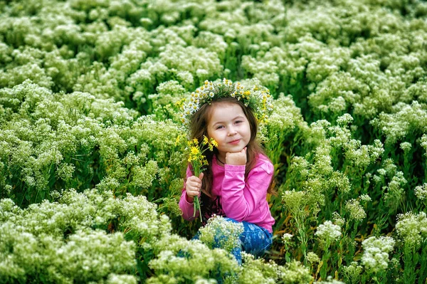 Retrato Uma Linda Menina Uma Coroa Flores Silvestres Crianças Uma — Fotografia de Stock