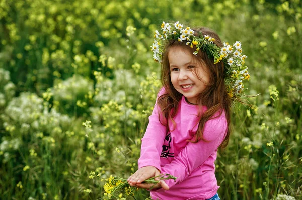 Retrato Uma Linda Menina Uma Coroa Flores Silvestres Crianças Uma — Fotografia de Stock