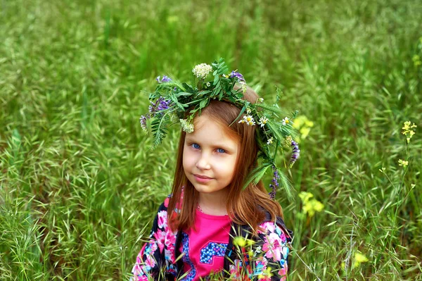Retrato Una Hermosa Niña Una Corona Flores Silvestres — Foto de Stock