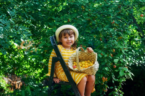 Neşeli Küçük Kız Bir Sepet Içinde Çilek Toplar — Stok fotoğraf