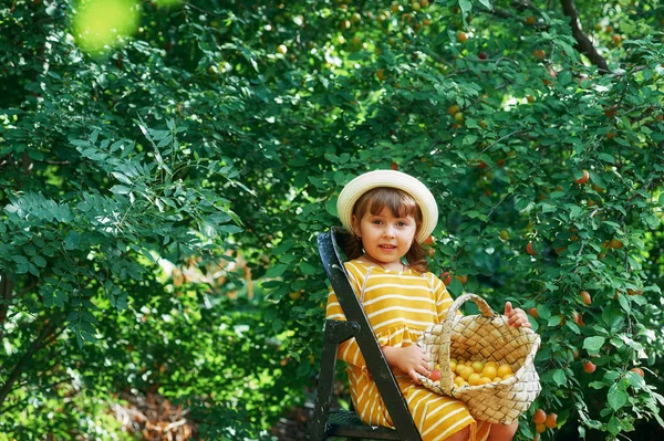Neşeli Küçük Kız Bir Sepet Içinde Çilek Toplar — Stok fotoğraf