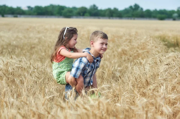 Children Walk Field Wheat Funny Brother Sister Countryside — Stock Photo, Image