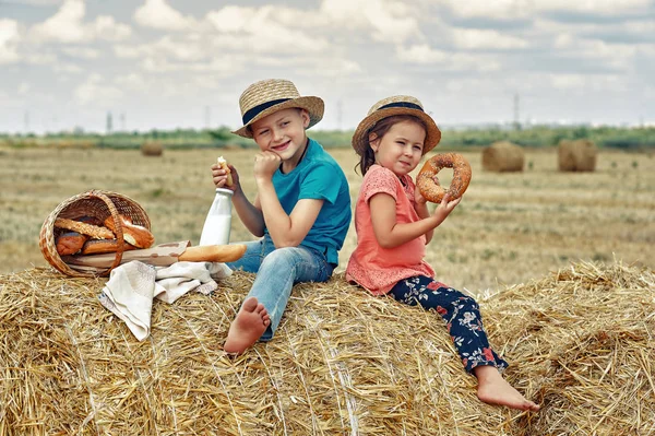 Niños Alegres Picnic Verano Campo Hermoso Hermano Hermana Vacaciones Verano — Foto de Stock