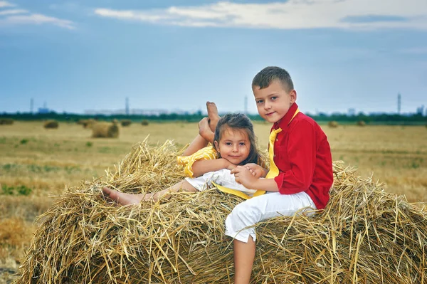 Retrato Hermano Hermana Pesebre Niños Paseo Por Campo Recreación Aire — Foto de Stock