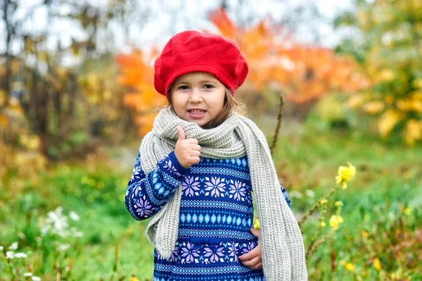 Portret Małej Dziewczynki Jesiennym Dniu Dziewczynka Czerwonym Beret Ciepły Szalik — Zdjęcie stockowe
