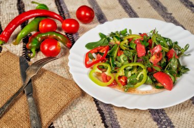 Taze sebze salatası. Sağlıklı beslenme kavramı. Yaz ışık Kahvaltı