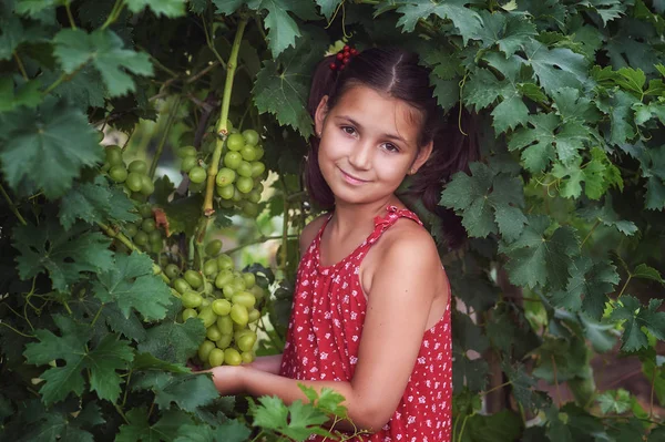 Retrato Uma Menina Jardim Com Uvas — Fotografia de Stock