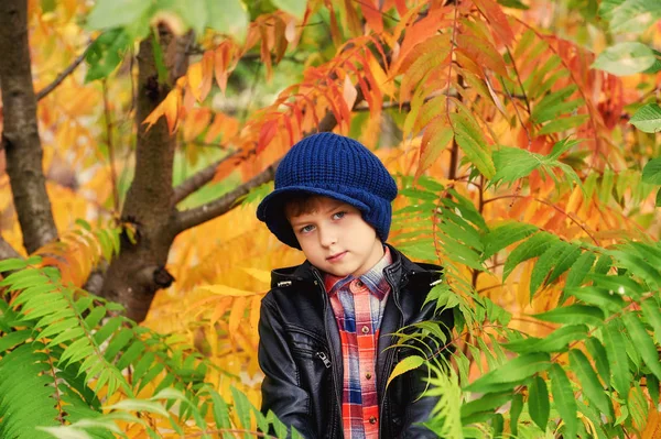 산책에 따뜻한 모자에 소년의 초상화 나무의 — 스톡 사진