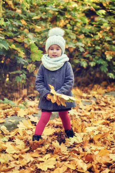 Little Girl Coat Autumn Forest Children Walks Fresh Air — Stock Photo, Image