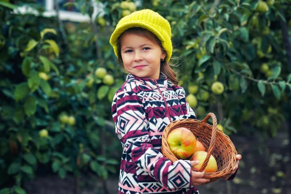 Portrait Une Petite Fille Heureuse Avec Une Récolte Pommes Dans — Photo