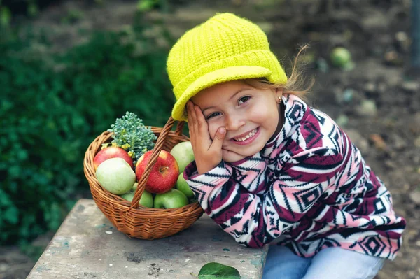 Portrait Une Petite Fille Heureuse Avec Une Récolte Pommes Dans Images De Stock Libres De Droits