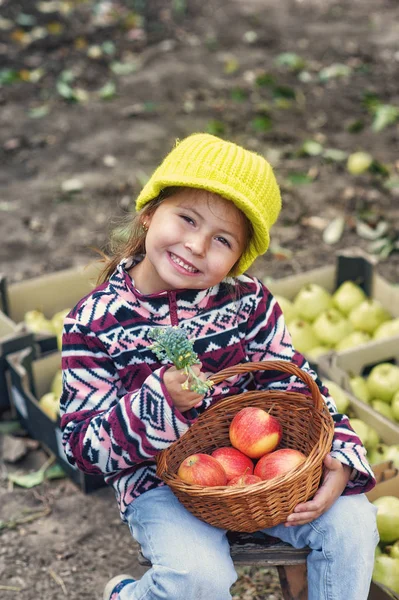 Retrato Uma Menina Com Maçãs Jardim Frutos Colheita Outono — Fotografia de Stock