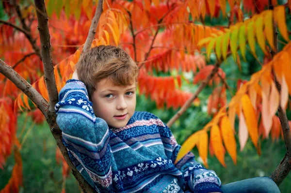 스웨터를 어린이의 — 스톡 사진