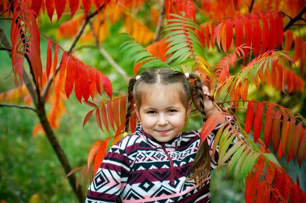 Ritratto Una Bella Bambina Una Passeggiata Una Giornata Autunnale — Foto Stock