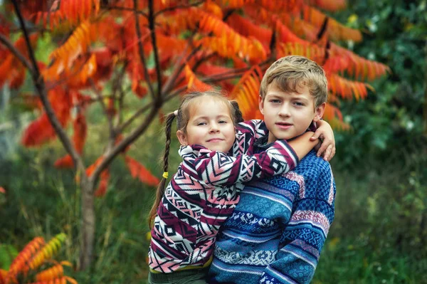 Fratello Sorella Una Passeggiata Nel Giorno Autunno Vicino Agli Alberi — Foto Stock