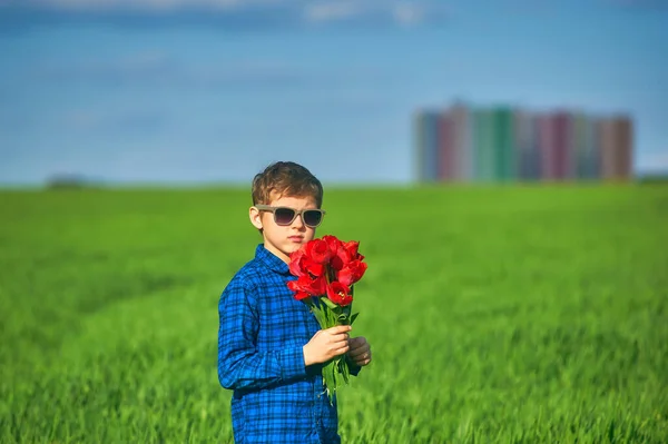 Portrét Chlapce Červenými Tulipány Poli — Stock fotografie