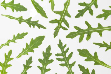 İtalyan roka beyaz tabakta izole taze yeşil yaprakları makro üstten görünüm görüntüsü. Rucola salata. Organik sağlıklı diyet yiyecek. Yatay renkli fotoğraf.