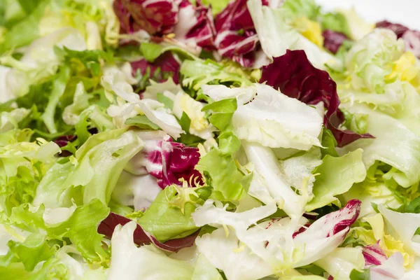 Makro fotoğraf karışımı farklı taze yeşil salata tabağına bırakır. Yaprakları kırmızı ve beyaz radicchio, roka, kıvırcık yapraklı hindiba ve frisee arka plan. Yatay renkli fotoğraf.