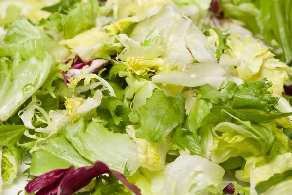 Makro fotoğraf karışımı farklı taze yeşil salata tabağına bırakır. Yaprakları kırmızı ve beyaz radicchio, roka, kıvırcık yapraklı hindiba ve frisee arka plan. Yatay renkli fotoğraf.