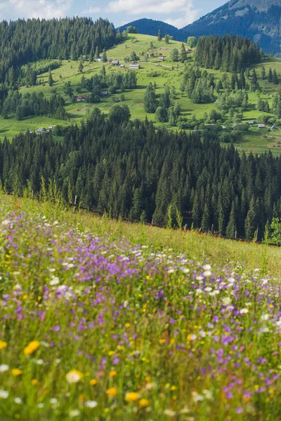 Schöne Landschaft Grünes Gras Mit Bunten Leuchtenden Wildblumen Vordergrund Dorf — Stockfoto