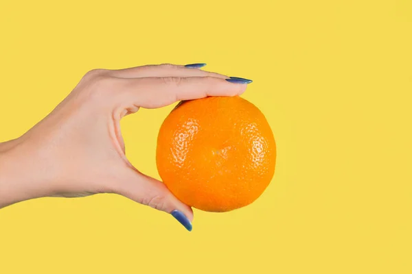 Nahaufnahme Der Schönen Weiblichen Hand Hält Große Orange Reife Mandarine Stockbild