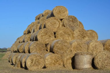 Mavi gökyüzüne karşı büyük saman yığınları.