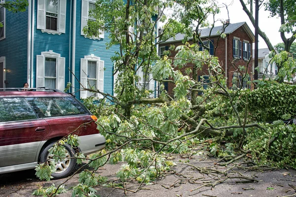 June 2018 Top Fifty Foot Tree Lands Dangerously Close Car — Stock Photo, Image