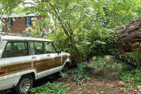 Dayton Ohio Usa June 2018 Five Foot Diameter Tree Lands — Stock Photo, Image