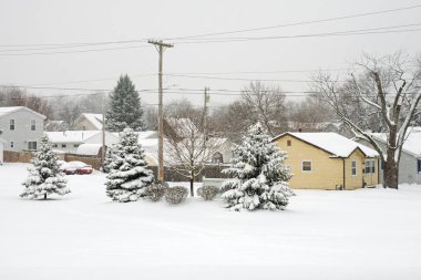 Kar fırtınası çam ağaçları ile mahallede