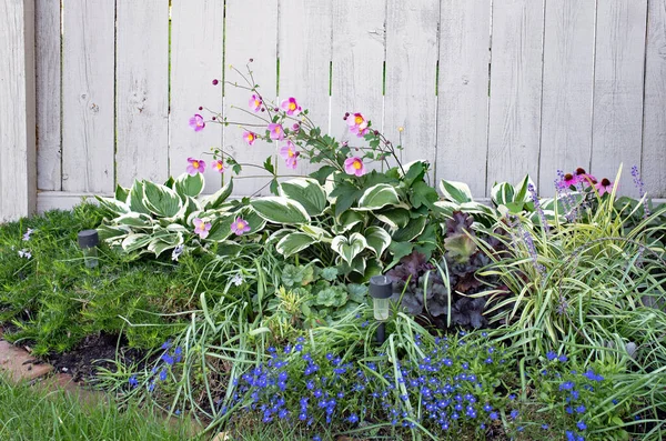 Flower Garden Φθινόπωρο Κατά Gray Fence — Φωτογραφία Αρχείου