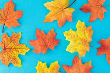 Üstten görünüm renkli sonbahar arka plan ile akçaağaç yaprakları.