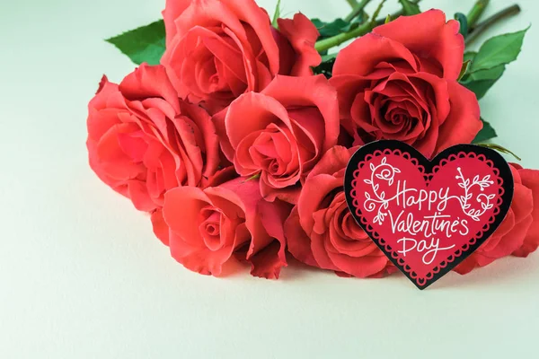 Вітальна Листівка День Святого Валентина Троянди Пастельних Фоні — стокове фото