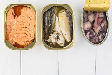 Üstten görünüm açık konserve balık çeşitleri. Teneke kutular ile füme somon fileto, sardalya, kalamar. Kopya baharat.